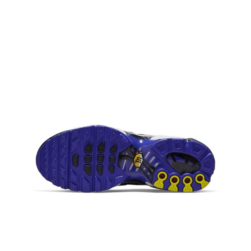 Nike Air Max Plus Persian Violet (GS) (CD0609-104)