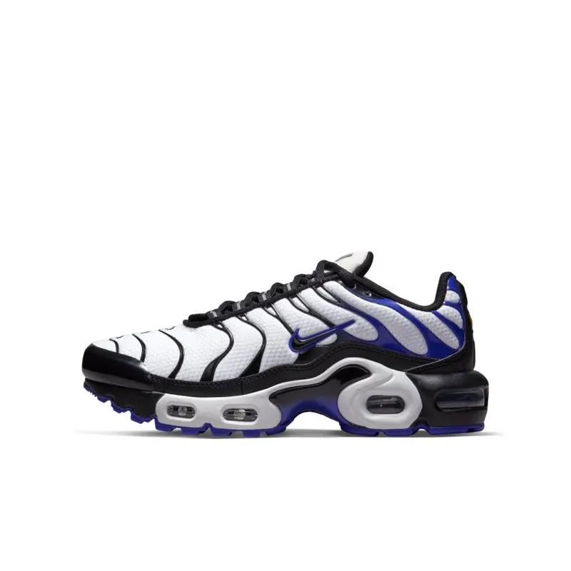 Nike Air Max Plus Persian Violet (GS) (CD0609-104)