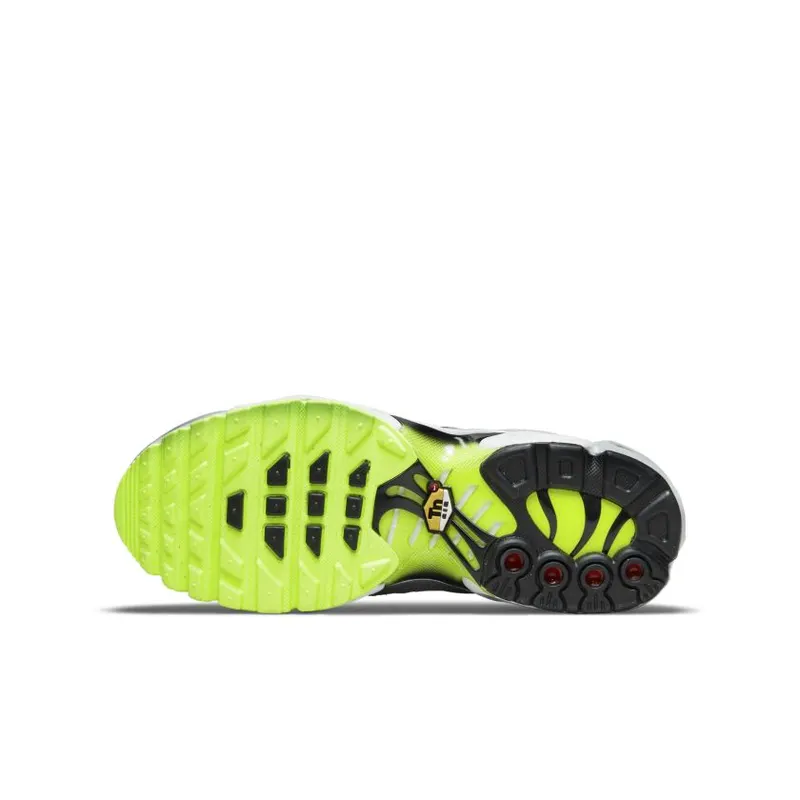 Nike Air Max Plus Retro Air Max Logos (GS) (CD0609-015)