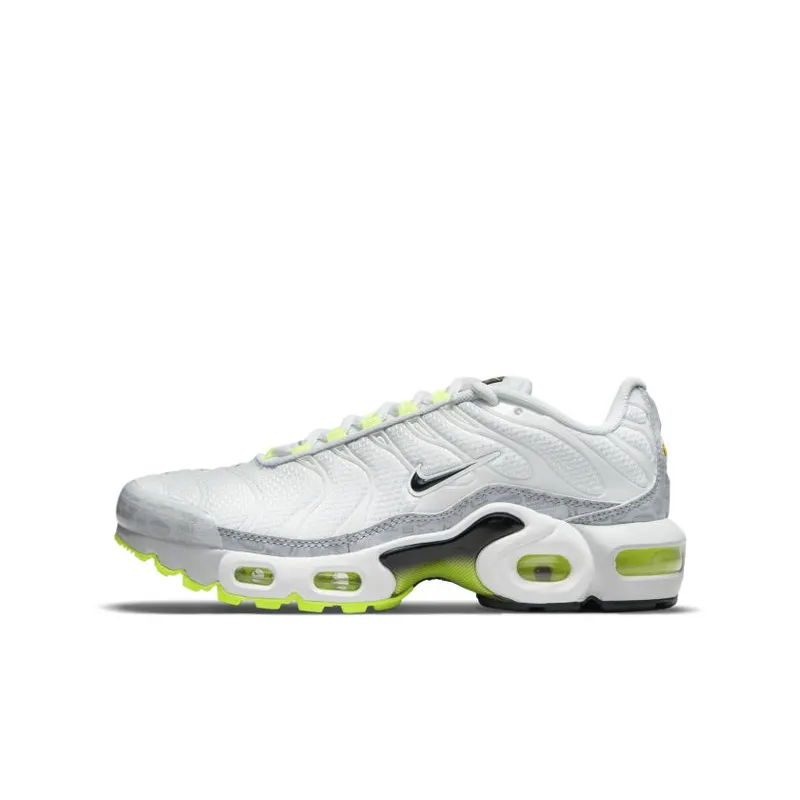 Nike Air Max Plus Retro Air Max Logos (GS) (CD0609-015)