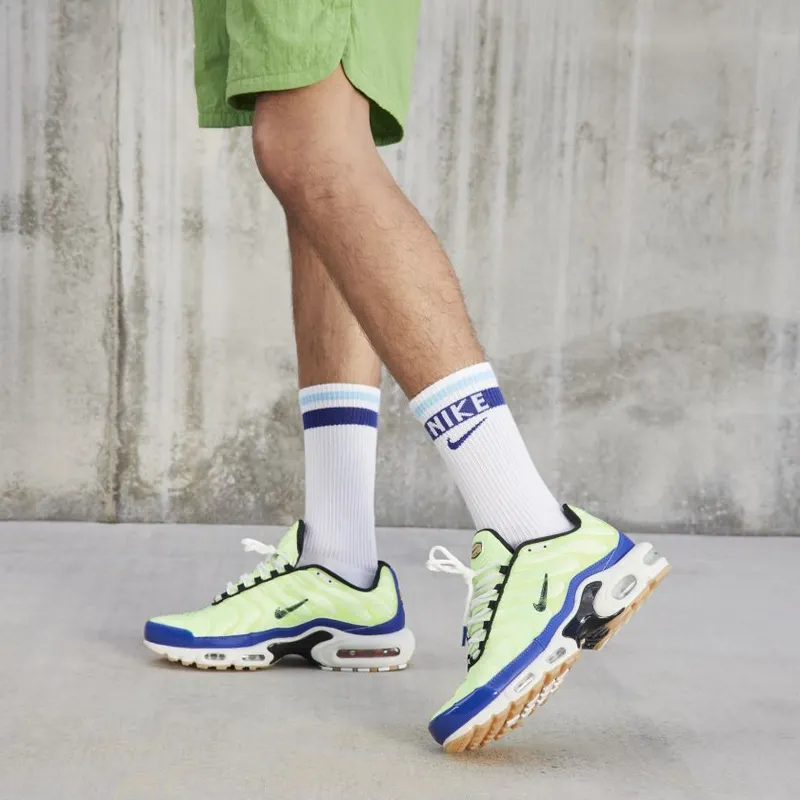 Nike Air Max Plus SE M. Frank Rudy (DZ0480-300)