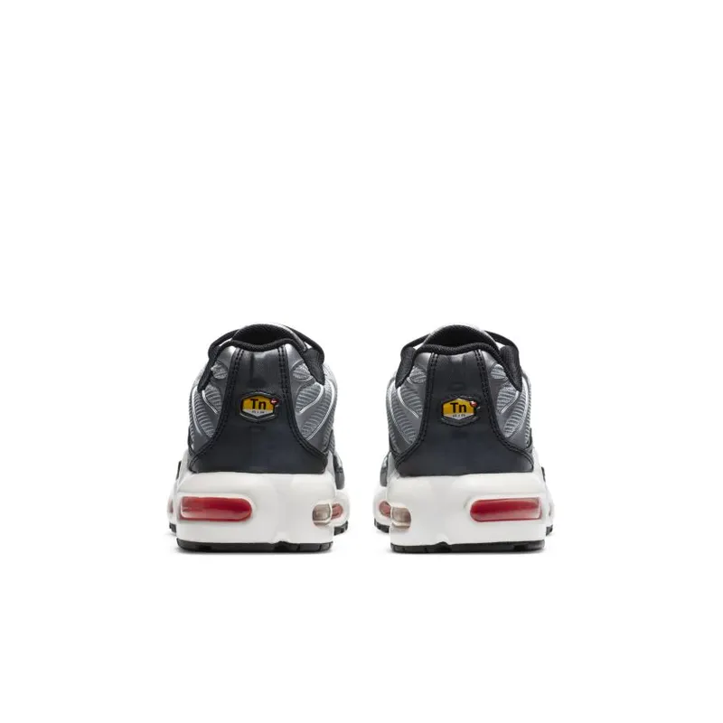 Nike Air Max Plus Sky Nike Pack (GS) (CW6010-001)