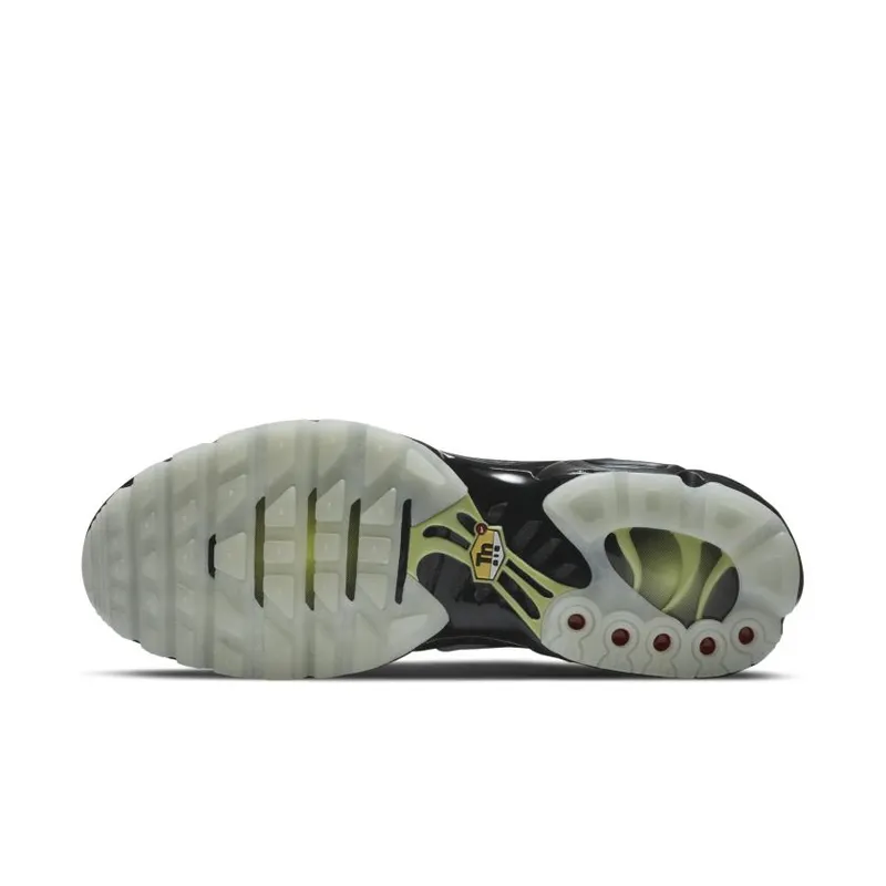 Nike Air Max Plus Spider Web (DD4004-001)