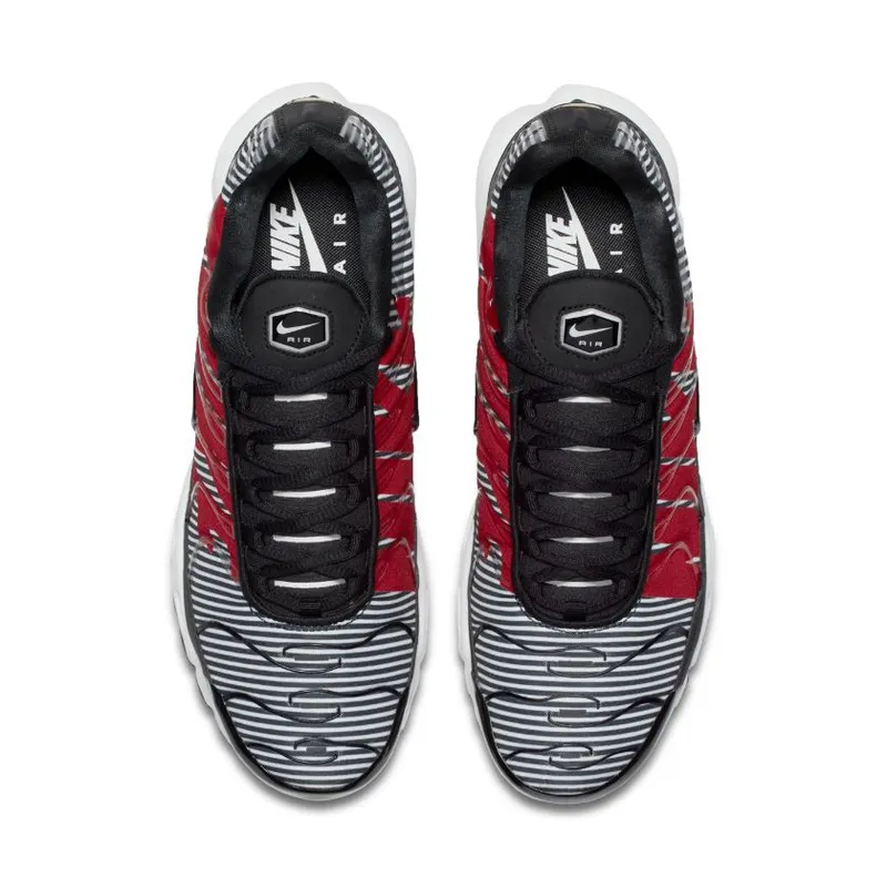 Nike Air Max Plus Striped Black White (AT0040-001)
