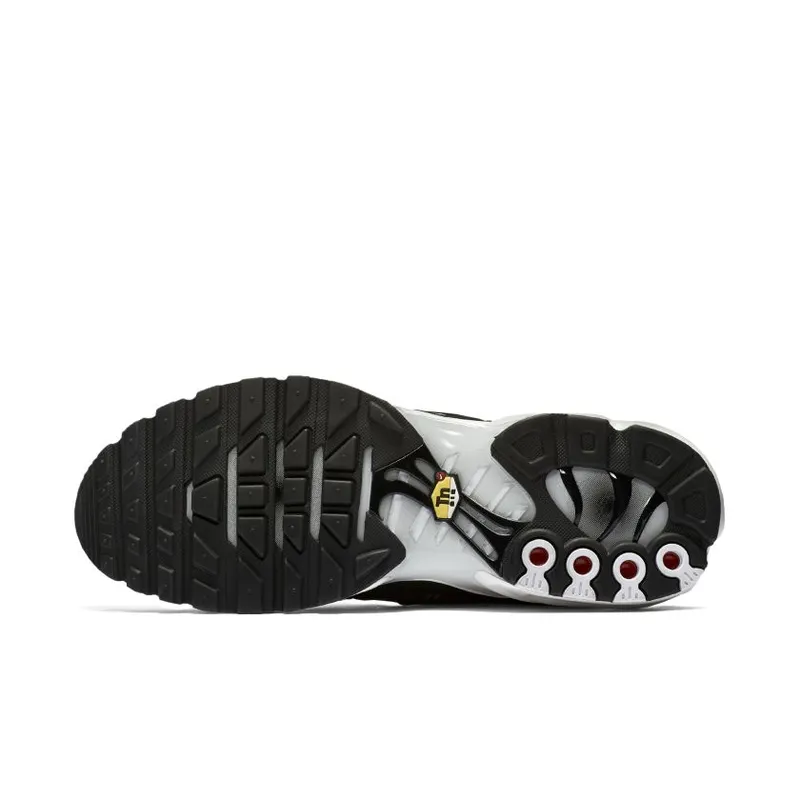 Nike Air Max Plus Striped Black White (AT0040-001)