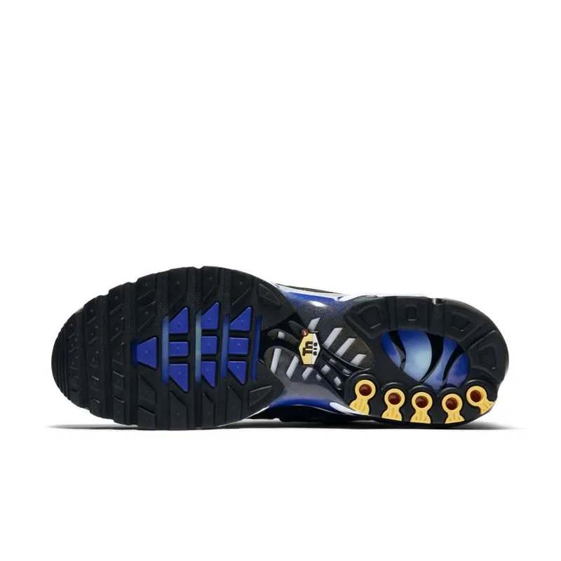 Nike Air Max Plus The Shark France (AJ6301-400)