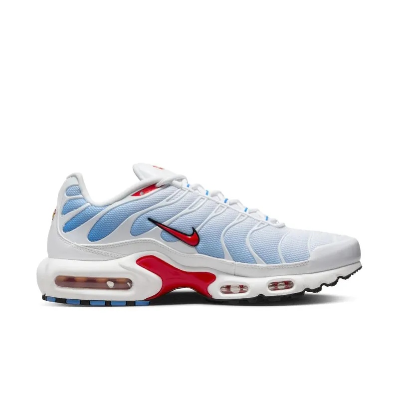 Nike Air Max Plus Tide (2022) (604133-423)
