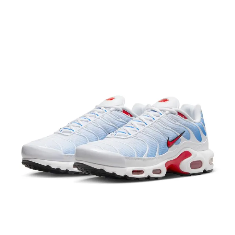 Nike Air Max Plus Tide (2022) (604133-423)