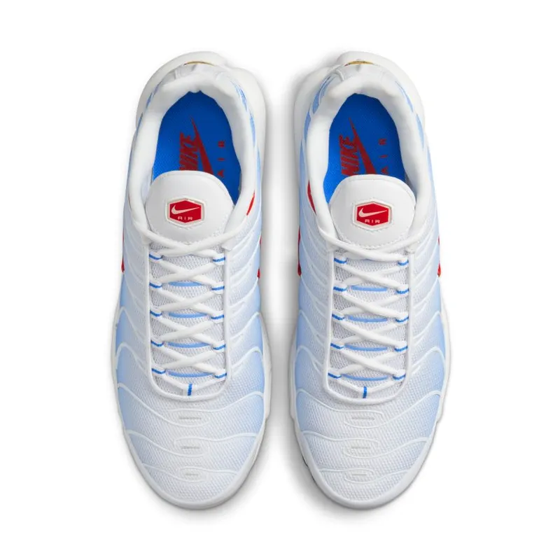 Nike Air Max Plus Tide (2022) (604133-423)