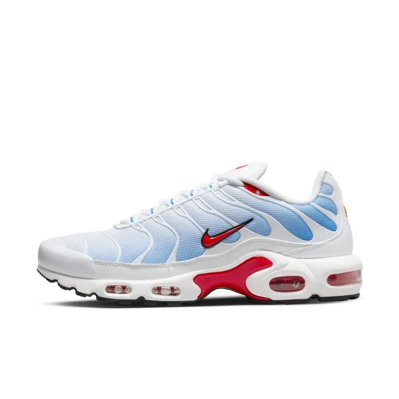 Nike Air Max Plus Tide (2022) (604133-423)