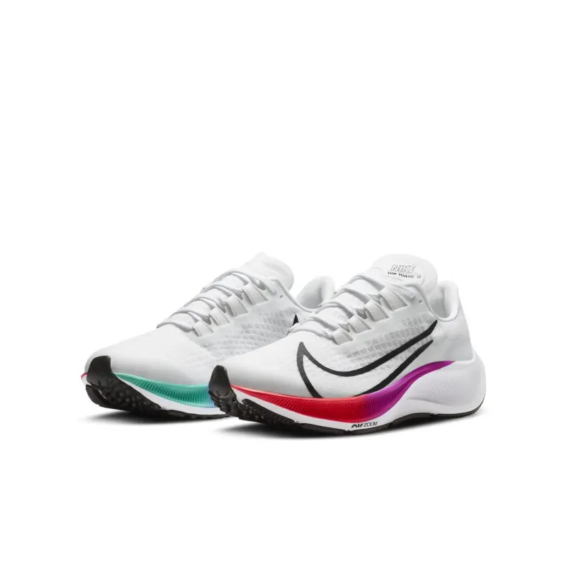 Nike Air Pegasus 37 Ombre (GS) (CJ2099-112)