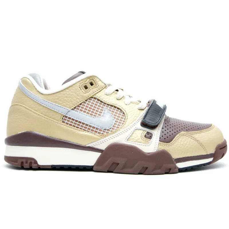 Nike Air Trainer 2 SB Metallic Gold/Reflect Silver (318480-701)