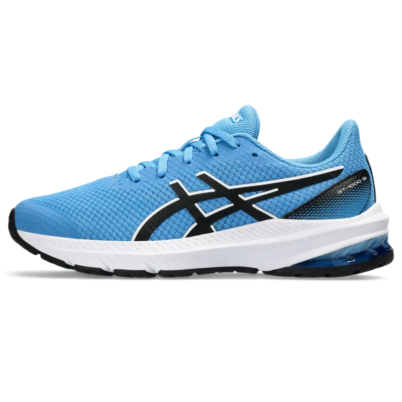 Asics Gt-1000 12 Gs Waterscape/Black (1014A296.404)