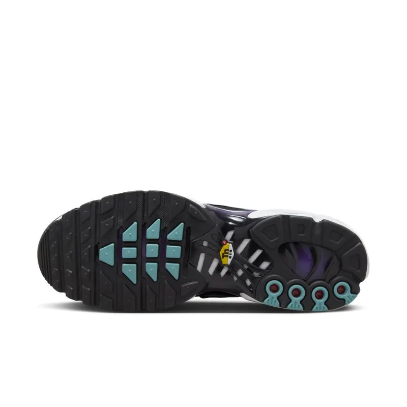 Nike Air Max Plus ‘Reverse Grape’ Purple (FQ2415-500)