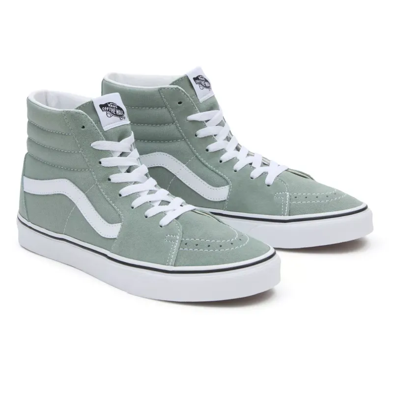VANS Color Theory Sk8-hi Groen (VN000BW7CJL)