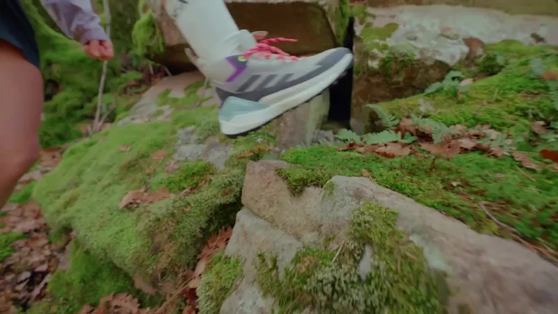 adidas Terrex Free Hiker GORE-TEX Hiking 2.0 (IE3525)