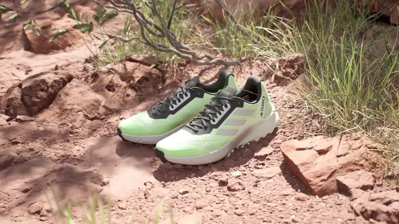 adidas Terrex Agravic Flow Trail Running 2.0 (IG8019)