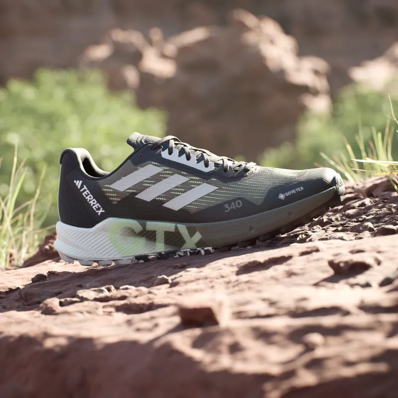 adidas Terrex Agravic Flow GORE-TEX Trail Running 2.0 (IG8020)