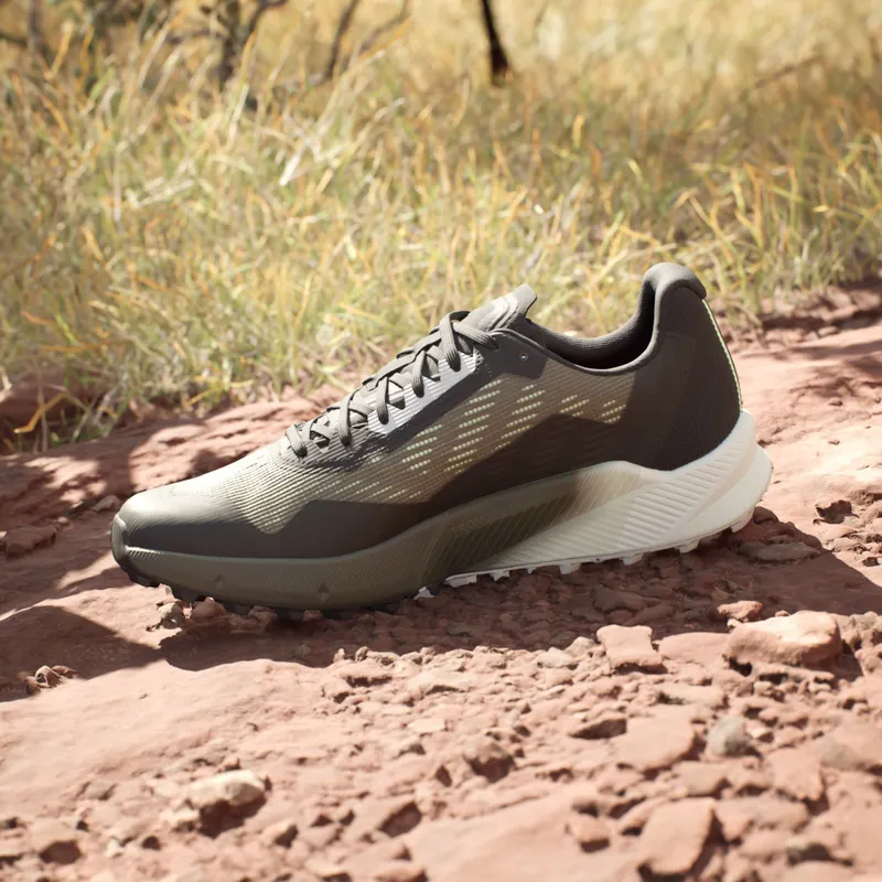 adidas Terrex Agravic Flow GORE-TEX Trail Running 2.0 (IG8020)