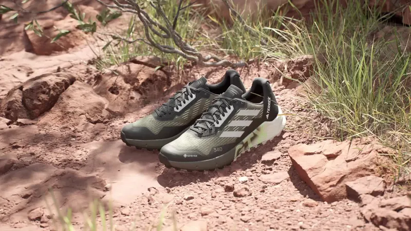 adidas Terrex Agravic Flow GORE-TEX Trail Running 2.0 (IG8020)