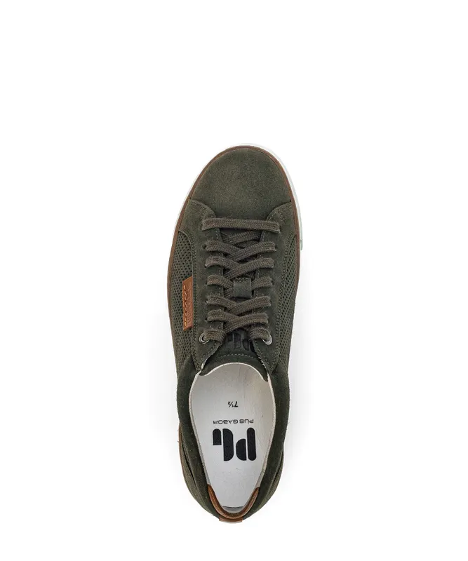 Gabor Sneaker low Grün (0460.22.03)