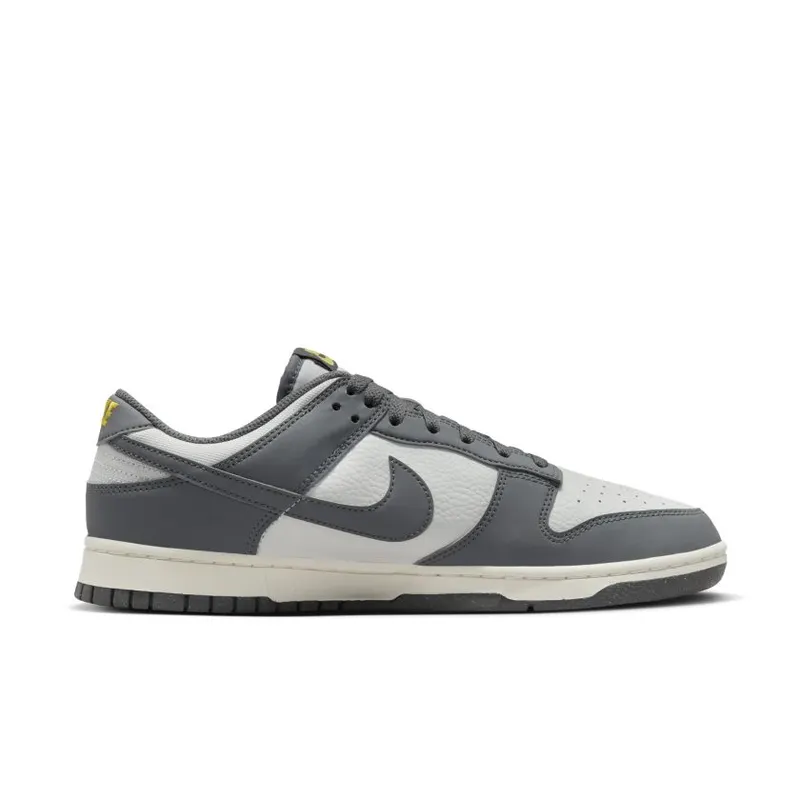 Nike Dunk Low Next Nature Iron Grey (FZ4621-001)