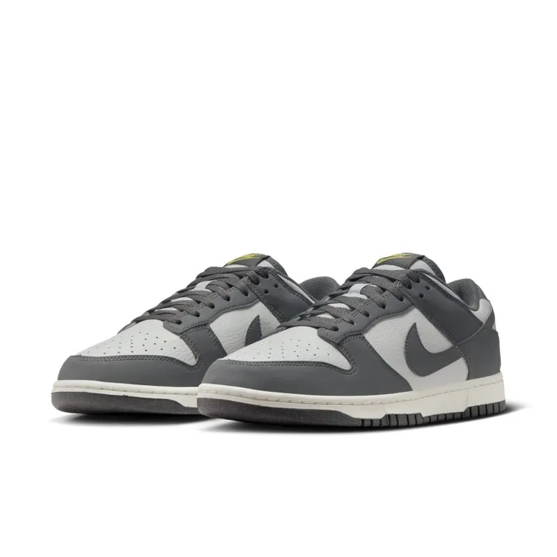 Nike Dunk Low Next Nature Iron Grey (FZ4621-001)