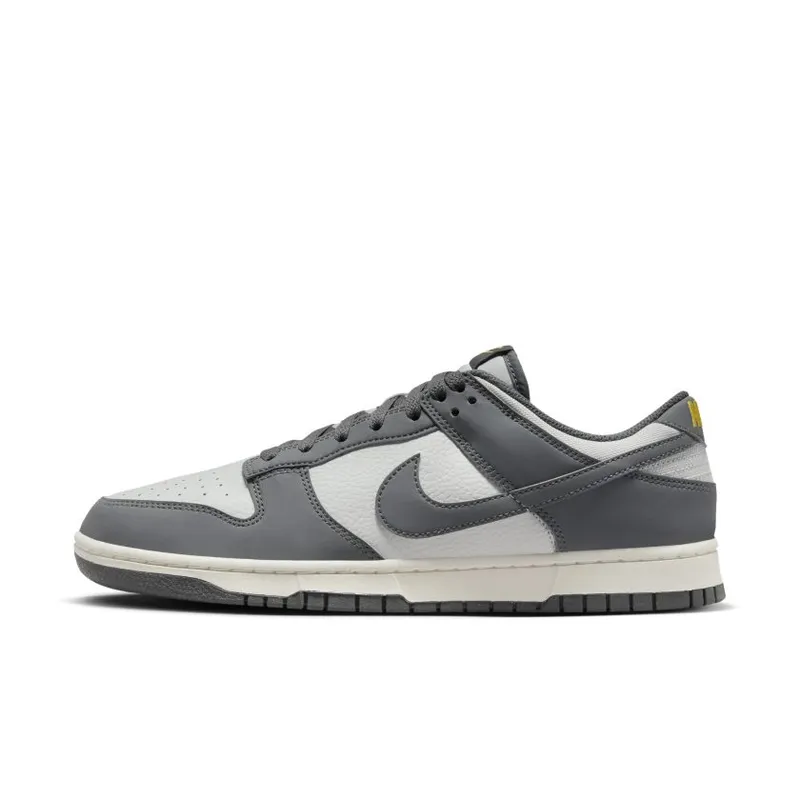 Nike Dunk Low Next Nature Iron Grey (FZ4621-001)