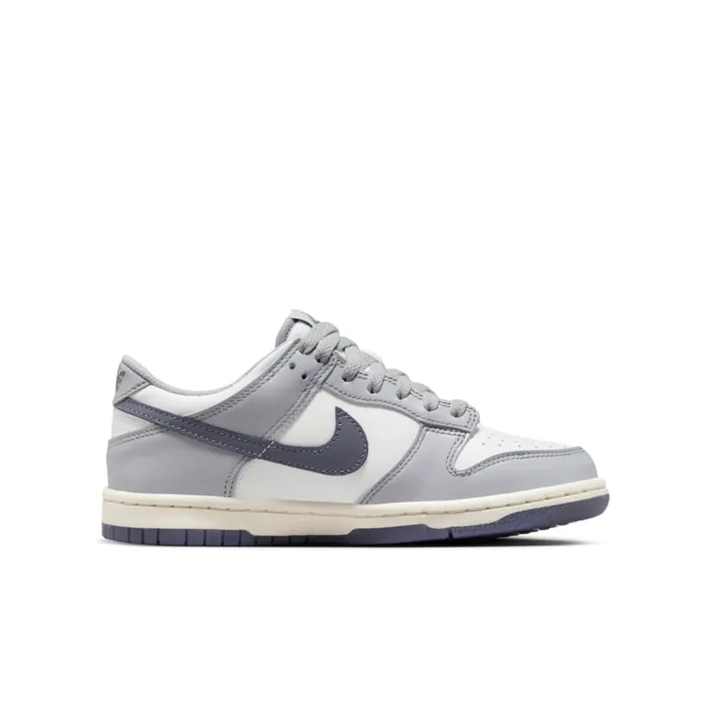 Nike Dunk Low SE Light Carbon Grey (GS) (FB9109-101)