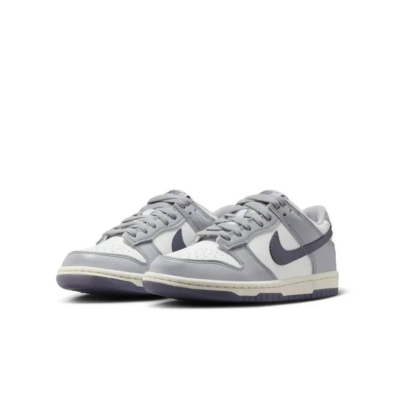 Nike Dunk Low SE Light Carbon Grey (GS) (FB9109-101)