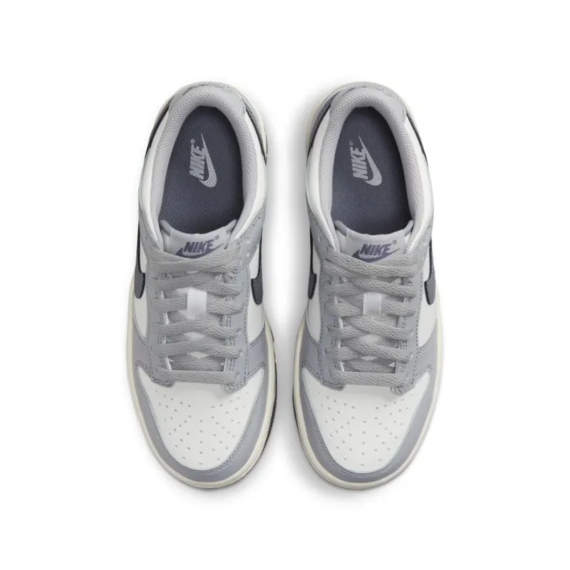 Nike Dunk Low SE Light Carbon Grey (GS) (FB9109-101)