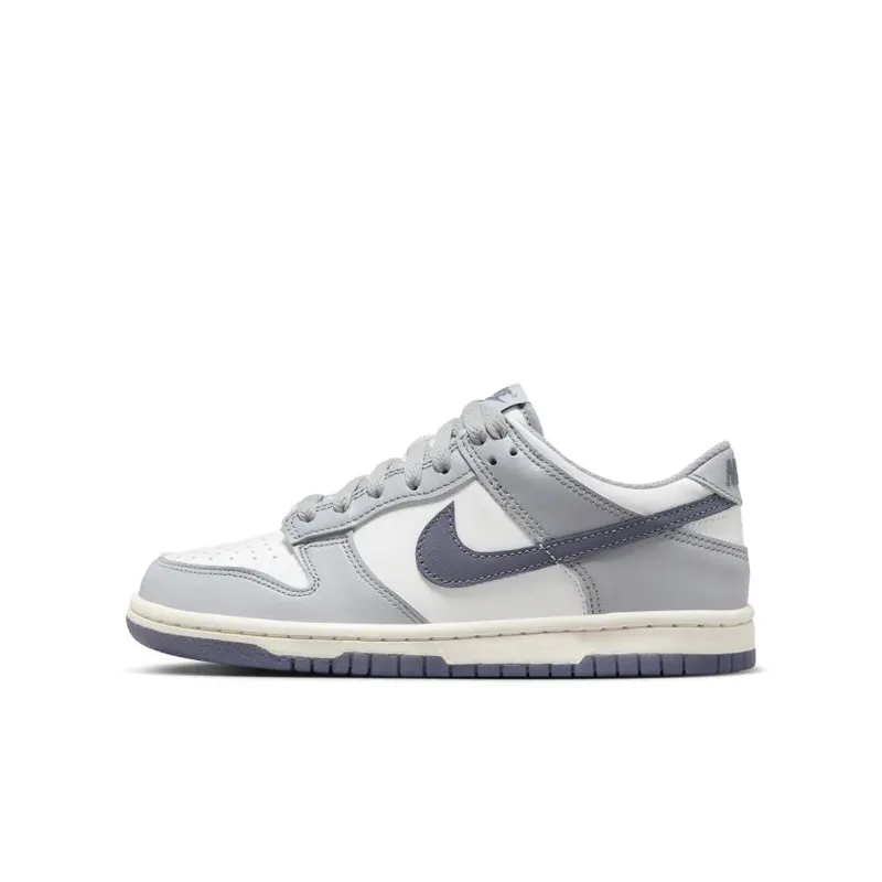 Nike Dunk Low SE Light Carbon Grey (GS) (FB9109-101)