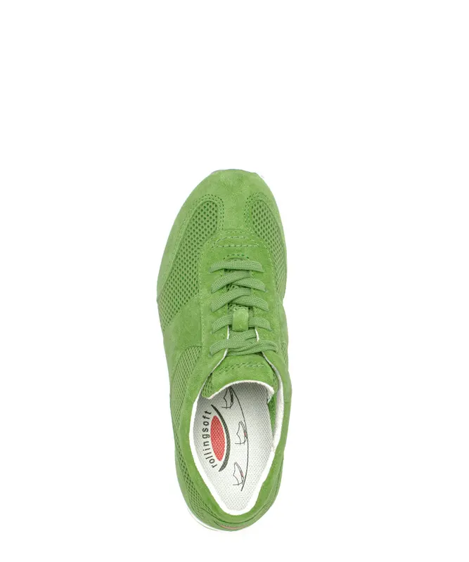 Gabor Sneaker low Grün (46.966.44)