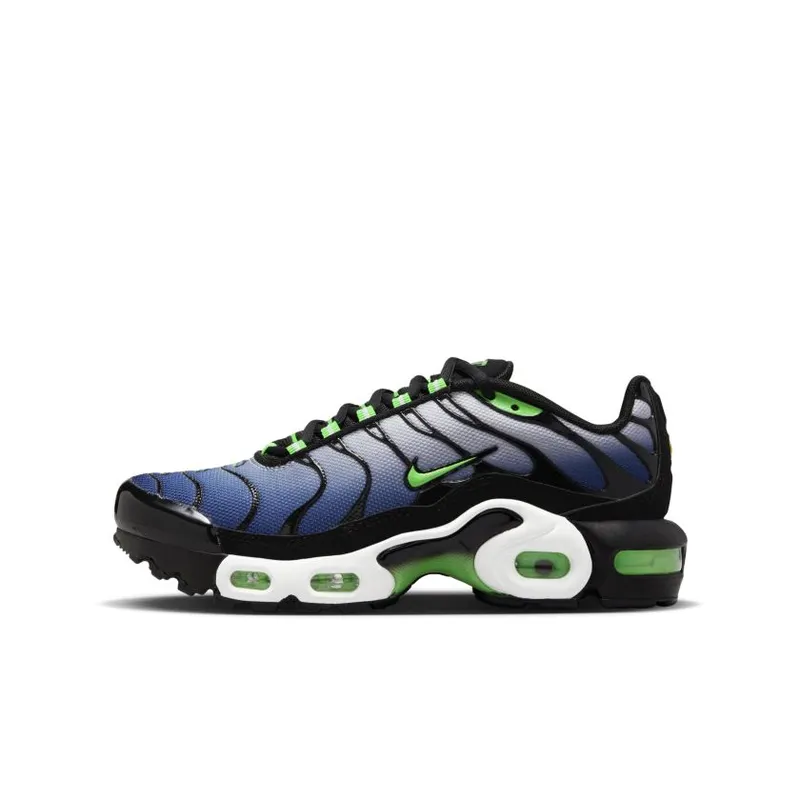 Nike Air Max Plus GS ‘Icons’ (CD0609-021)