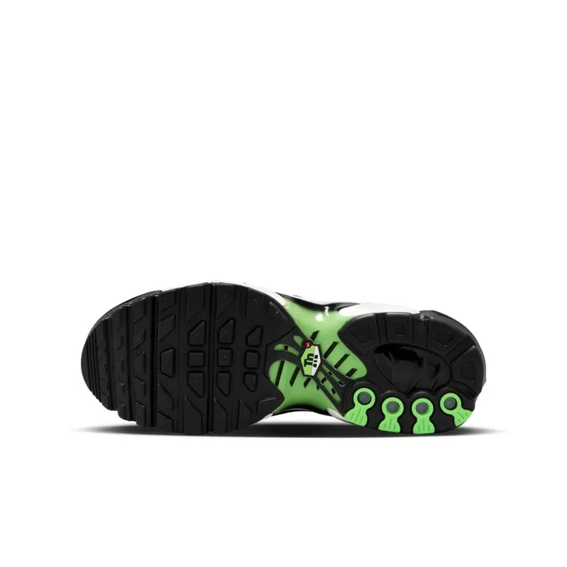 Nike Air Max Plus GS ‘Icons’ (CD0609-021)