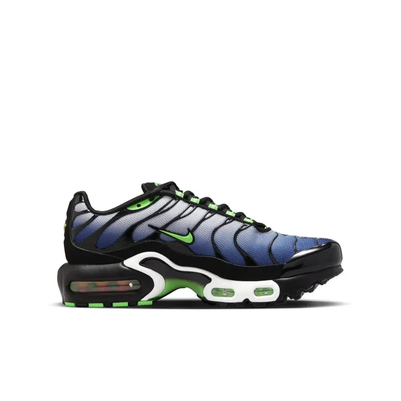 Nike Air Max Plus GS ‘Icons’ (CD0609-021)