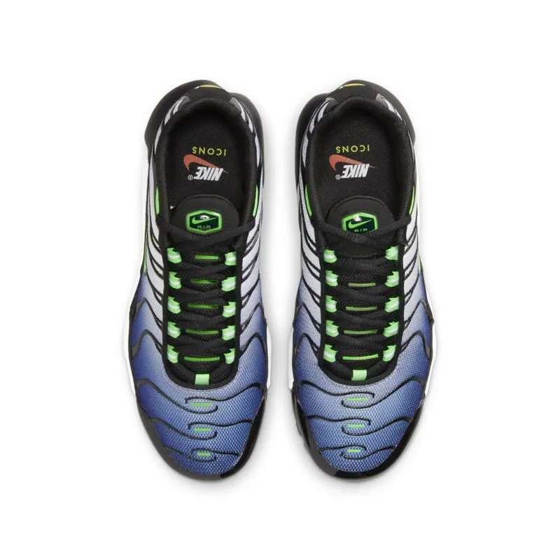 Nike Air Max Plus GS ‘Icons’ (CD0609-021)