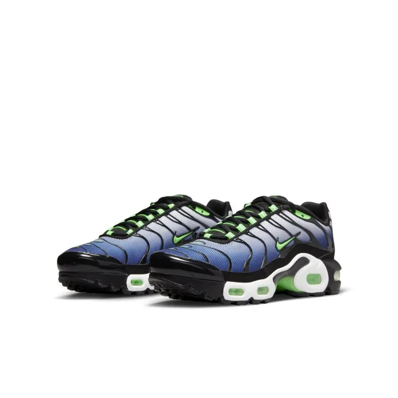 Nike Air Max Plus GS ‘Icons’ (CD0609-021)
