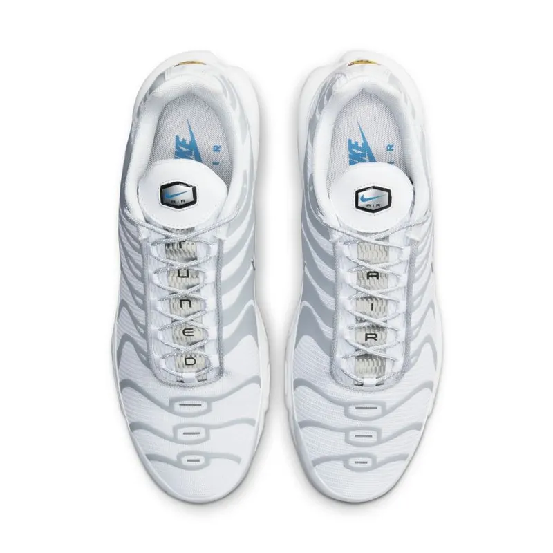 Nike Air Max Plus ‘Light Smoke Grey’ (DM2466-100)