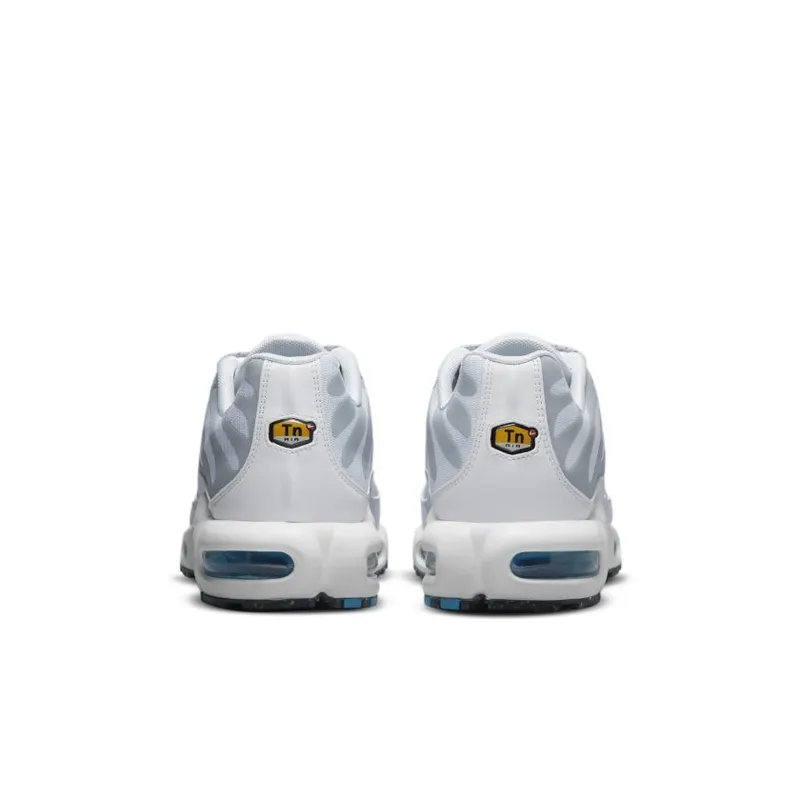 Nike Air Max Plus ‘Light Smoke Grey’ (DM2466-100)