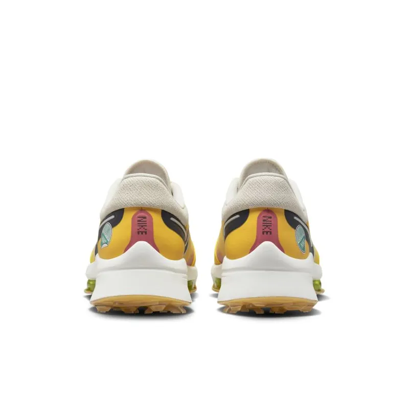 Nike Air Zoom Infinity Tour NEXT% NRG Always Fresh (DV6801-701)