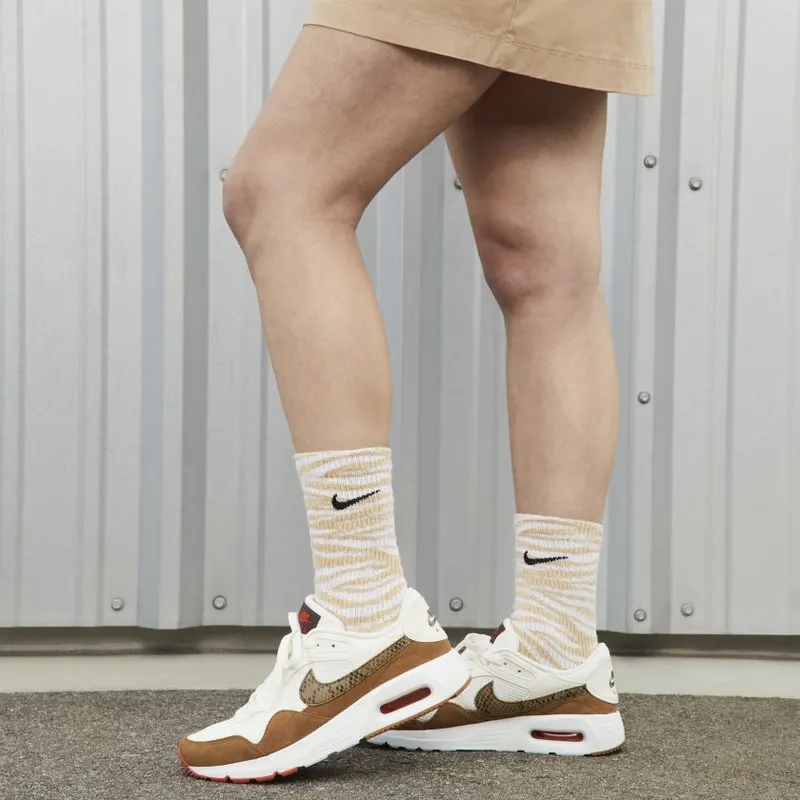 Nike Air Max SC WMNS ‘Brown’ (DX9501-100)