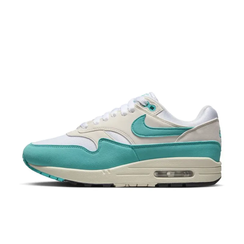 Nike Air Max 1 Dusty Cactus (DZ2628-107)