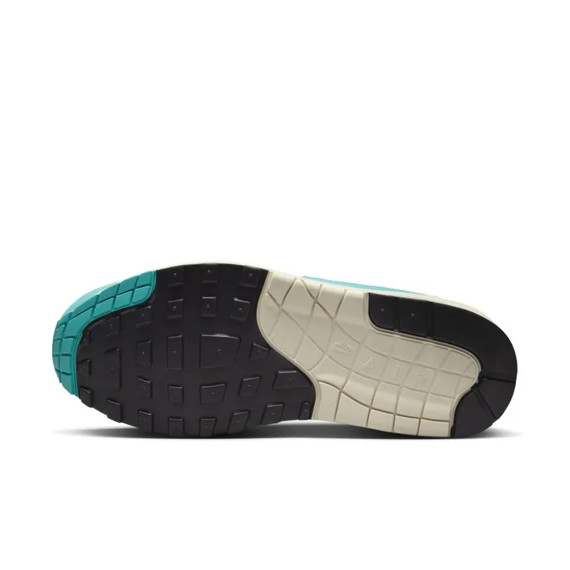 Nike Air Max 1 Dusty Cactus (DZ2628-107)