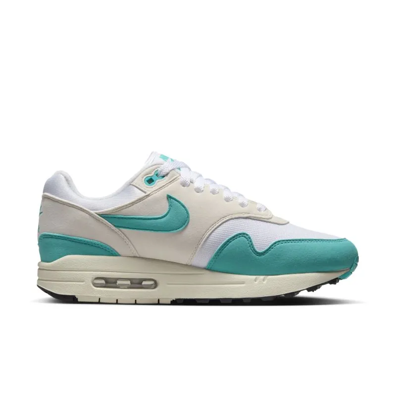 Nike Air Max 1 Dusty Cactus (DZ2628-107)