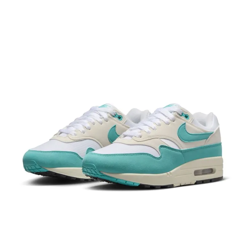 Nike Air Max 1 Dusty Cactus (DZ2628-107)