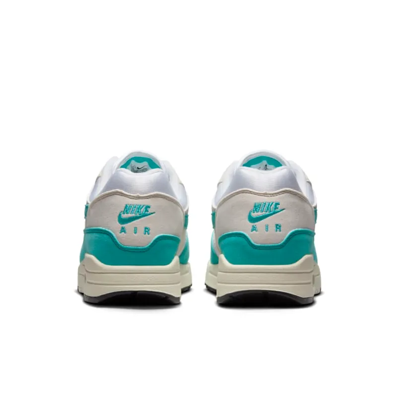 Nike Air Max 1 Dusty Cactus (DZ2628-107)