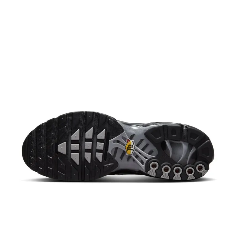 Nike Air Max Plus ‘Quadruple Swoosh’ (FJ4224-001)