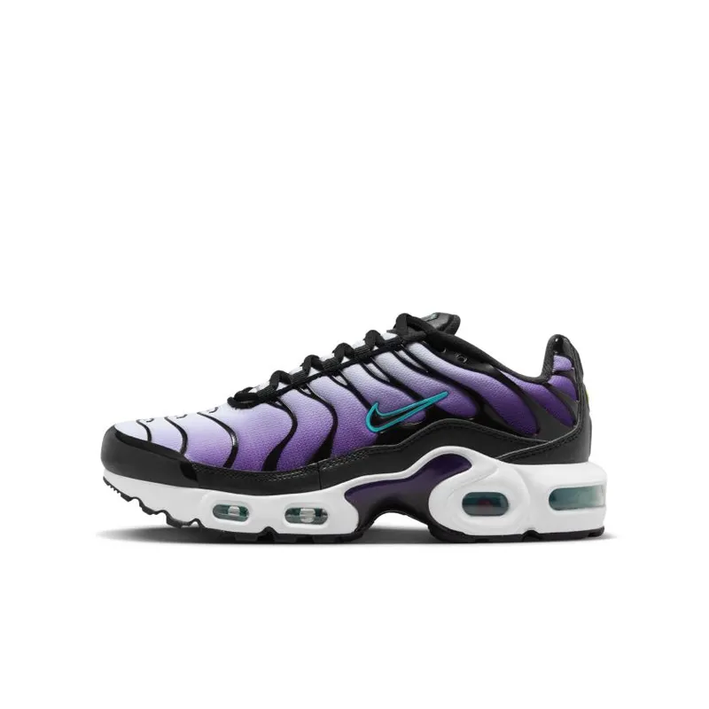 Nike Air Max Plus GS ‘Reverse Grape’ (FQ2412-500)