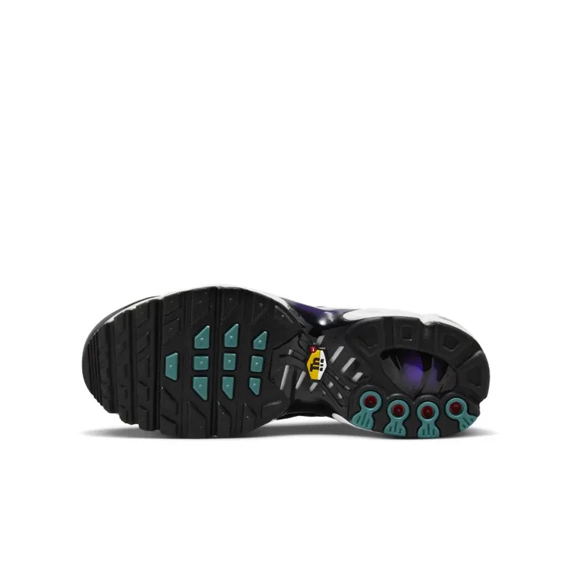 Nike Air Max Plus GS ‘Reverse Grape’ (FQ2412-500)